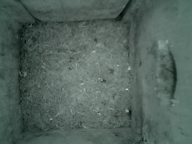 /images/2022/August/Tuesday-09/large/birdcam_00_02_00.jpg