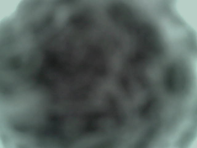 Royal Oaks Birdcam